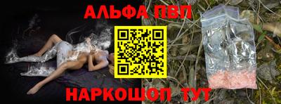 a pvp Камышлов