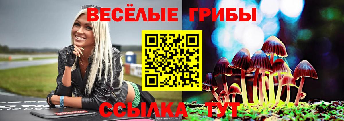 Галлюциногенные грибы мухоморы Каменск-Шахтинский